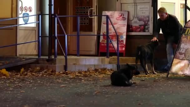 Un homme caressant un bâtard dans la rue. Des chiens sans abri se reposent sur le trottoir — Video
