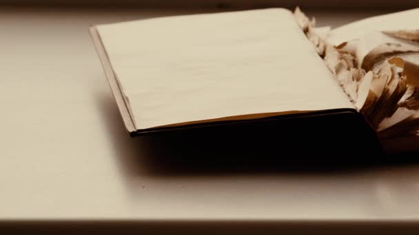Open book with torn pages lies on table.  Concept of censorship. Destruction — Stock Video