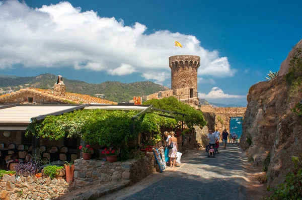 Tossa de mar