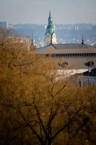 Utsikt Över Den Tjeckiska Staden Brno — Stockfoto
