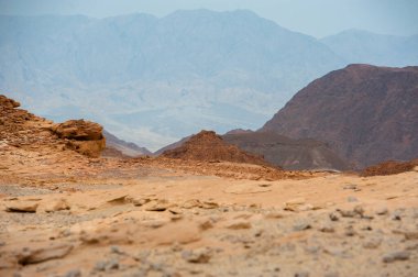 Güney İsrail Çölü 'ndeki Timna Doğa Parkı.
