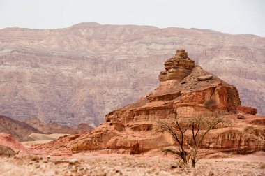 Güney İsrail Çölü 'ndeki Timna Doğa Parkı.
