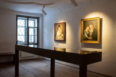 SALZBURG, AUSTRIA - 25 HAZİRAN 2013 Mozart 'ın Muziae' sinin İçinde.