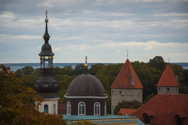 Прекрасный Вид Исторический Центр Таллинна — стоковое фото