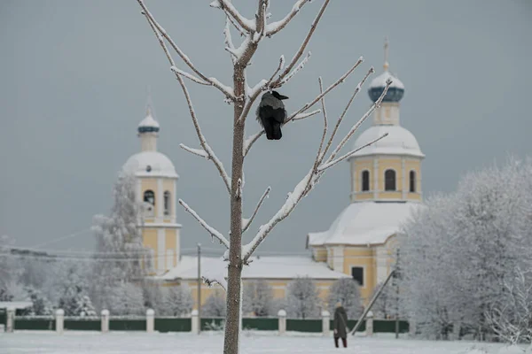 Crow Sits Tree Front Peter Paul Church Yasenevo District Moscow — Stockfoto