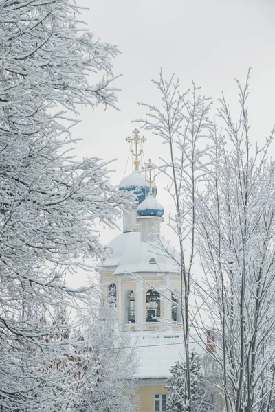 View Petropavlovskaya Church Snow Covered Trees Yasenevo District Moscow — стокове фото