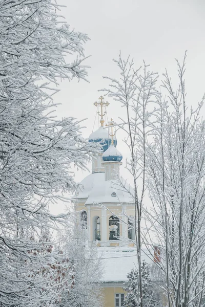 Blick auf die Petropawlowskaja-Kirche durch schneebedeckte Bäume im Moskauer Stadtteil Yasenevo — Stockfoto