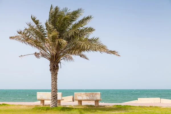 Cartera: eugenesergeev | Fotos, ilustraciones y arte vectorial de