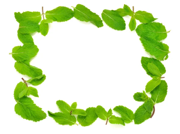 Mint on a white background — Stock Photo, Image