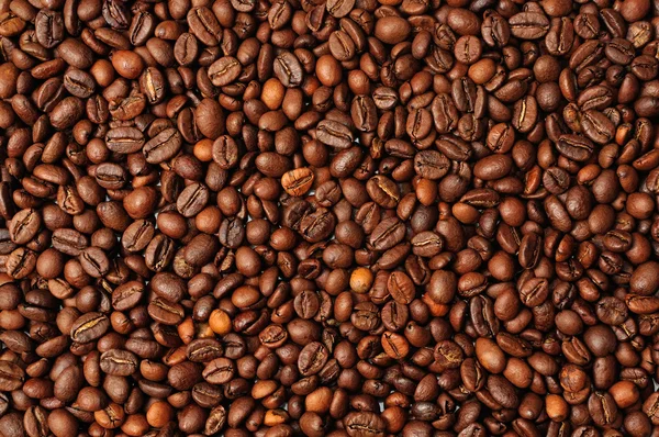 Kahve çekirdeği