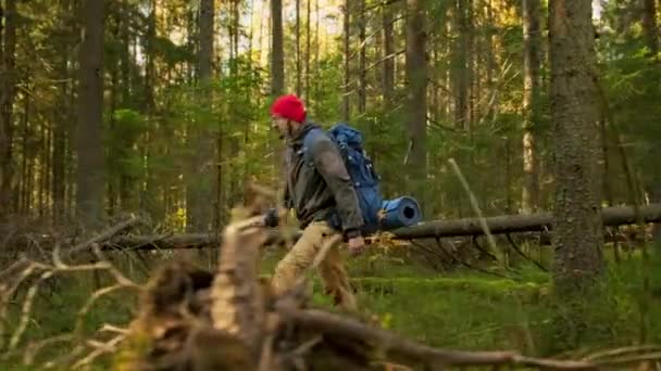 Slow Motion Mężczyzna Turystyka piesza z niebieskim plecakiem turystyka, Walking Through w zielonym nieprzeniknionym lesie iglastym w lecie słoneczna pogoda. Side View Man Podróżuje na zewnątrz w Green Forest Jesień. — Wideo stockowe