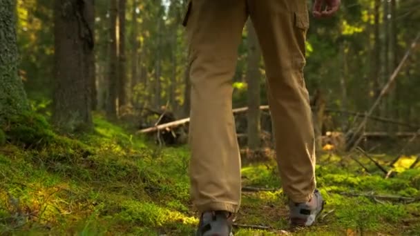 Lassú mozgás Videó személy sétál az erdőben. Közelkép Koncentrálj a bakancsra vagy a túracipőre. Közelkép Kilátás Man Legs Walking in Summer Forest. Ember túrázás erdei ösvényen. — Stock videók