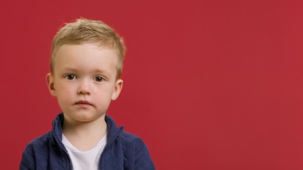 Barn annonserar stor försäljning, stor rabatt i snabbköp, Black Friday eller cybermåndag. Liten leende blond pojke håller upp skylt med inskription försäljning stående på röd studio bakgrund. — Stockvideo