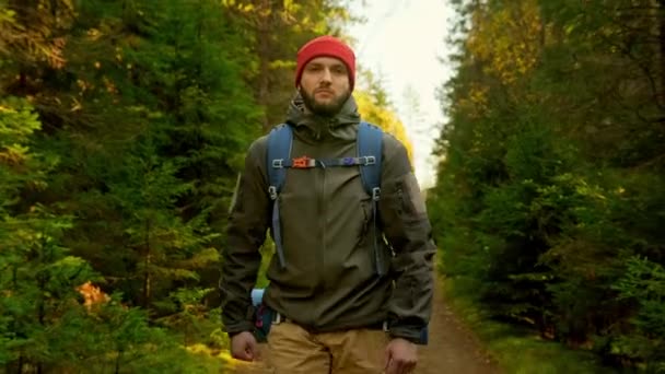 Portrét Aktivní zdravý kavkazský turista s batohem Procházka ve slunečním dřevě. Muž Cestovatel s procházkami po lese, volný čas, bio-turistika. Mladý muž pěší turistika v lese na podzim. — Stock video