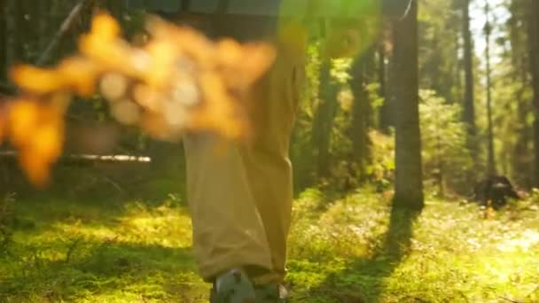 Detailní záběr Mans Legs Walking Through Impenetrable Forest Thickets in Sunny Summer Weather. Pomalý pohyb chůze boty chůzi po zelené trávě v zeleném jehličnatém lese. Turistika po lesní stezce. — Stock video