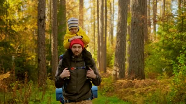 Pomalý pohyb Portrét Usmívající se otec a syn sedí na ramenou svých otců procházející slunečným podzimním žlutým lesem. Šťastný muž a chlapec jít pěší turistiku v podzimním lese s batohem pro pěší turistiku. — Stock video