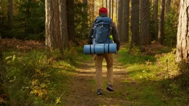 Kamera sleduje mladého muže na podzim na túře v lese. Aktivní zdravý kavkazský turista s batohem Procházky ve slunečním dřevě. Muž Cestovatel s procházkami podél lesa Zadní pohled, volný čas, bio-turistika. — Stock video