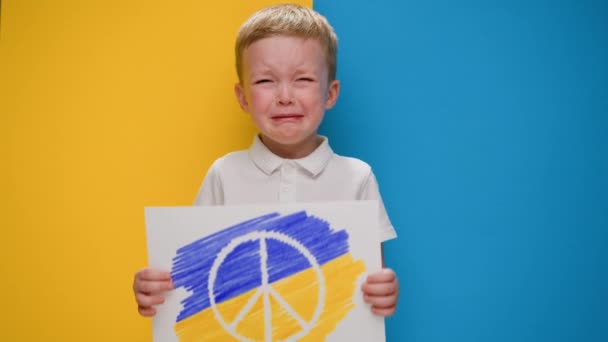 Fiú sír a sárga-kék háttér zászló Ukrajna gazdaság banner Büszkeség béke szimbólum színek zászló Ukrajna. Gyerek háború ellen, válság Ukrajna, humanitárius katasztrófa, orosz agresszió. — Stock videók