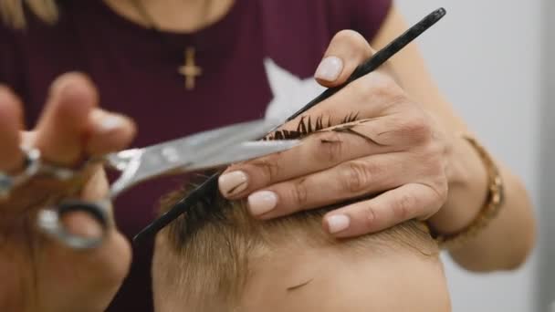 Process of hairdresser cutting hair. Blond caucasian boy is sitting in barber shop and hairdresser girl is cutting his hair. Child gets fashionable haircut, hairdresser cuts child hair with scissors. — Stock Video