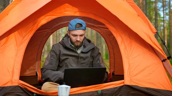 Bearded man 25 years old is working at laptop sitting in nature in an orange tent among wildlife and coniferous trees. Work outside office, outdoor recreation in spring. Work at distance from office.