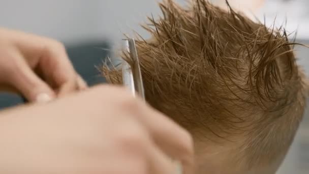 Process of hairdresser cutting hair. Blond caucasian boy is sitting in barber shop and hairdresser girl is cutting his hair. Child gets fashionable haircut, hairdresser cuts child hair with scissors. — Stock video