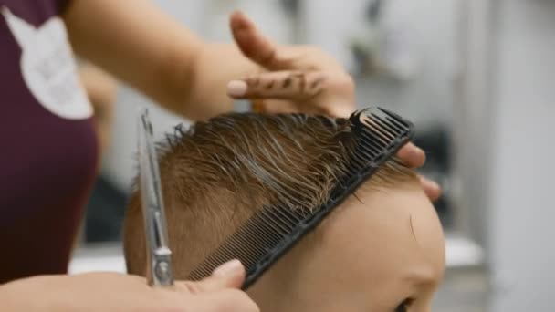 Blond caucasian boy is sitting in barber shop and hairdresser girl is cutting his hair. Child gets fashionable haircut, hairdresser cuts child hair with scissors. Close up of hairdresser cutting hair. — Stockvideo