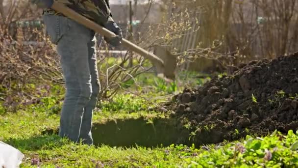 Man with shovel is digging hole in ground preparing soil for planting tree. Elderly male farmer digs hole in ground for planting plant in fertile soil. Farmer works on farm digging hole. — Stockvideo