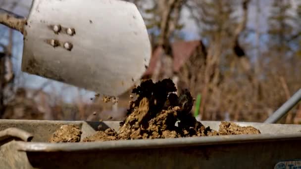 Close-up of a man pouring fertile earth from a shovel into a metal wheelbarrow. Loading earth with a shovel into an iron box. — 비디오