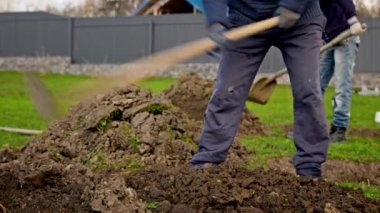 Male farmer grinds fertile land with hoe and prepares it for planting trees in park. Volunteer works with a hoe on farm to grind ground before planting plants in summer weather.