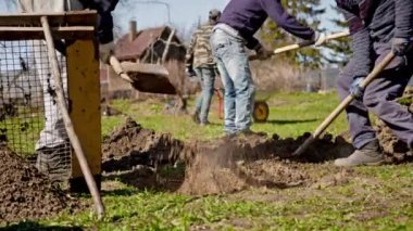 People are working digging ground with shovel on farm. Farmers prepare dug hole before planting tree, fill fertile land with chernozem and sand in pit before planting seedlings in sunny weather.