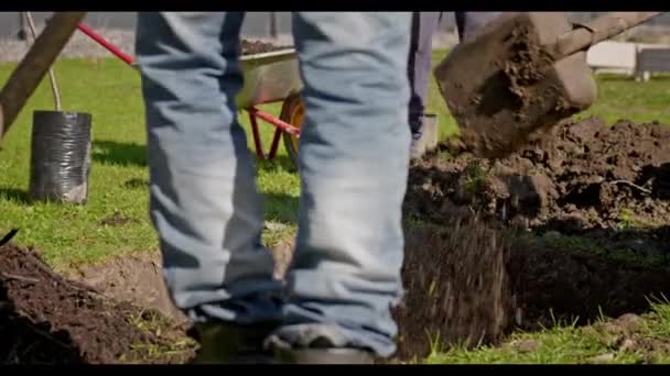 Farmers prepare dug hole before planting tree, fill fertile land with chernozem and sand in pit before planting seedlings in sunny weather. People are working digging ground with shovel on farm. — Video Stock