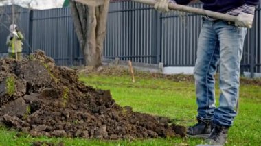 Volunteer works with shovel on farm to grind ground before planting plants in summer weather. Male farmer grinds fertile land with shovel and prepares it for planting trees in park.