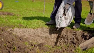 Man pours pine cones from bag into pit before planting plant in ground. Farmers work on farm and fill layer of fir cones into pit for fertilizing and planting young tree seedlings.