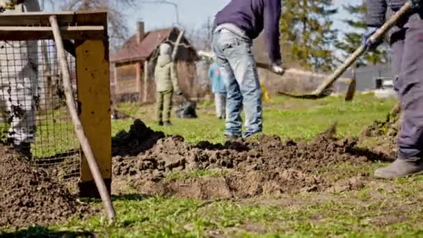 Farmers prepare dug hole before planting tree, fill fertile land with chernozem and sand in pit before planting seedlings in sunny weather. People are working digging ground with shovel on farm. — Video Stock
