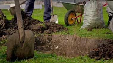 Farmers prepare dug hole before planting tree, fill fertile land with chernozem and sand in pit before planting seedlings in sunny weather. People are working digging ground with shovel on farm.