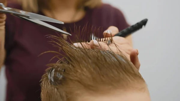 Process of hairdresser cutting hair. Blond caucasian boy is sitting in barber shop and hairdresser girl is cutting his hair. Child gets fashionable haircut, hairdresser cuts child hair with scissors.