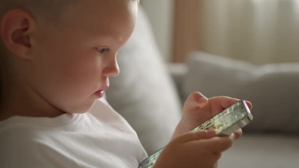 Little Boy Dressed White Shirt Sits Sofa Smartphone Hands Concentrated — Αρχείο Βίντεο