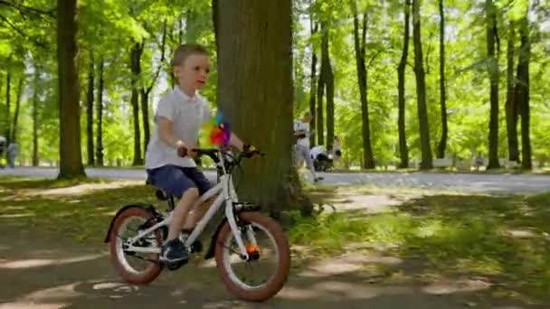 Concentrated Child Rides Bicycle Path High Green Trees Park Fair — Stockvideo