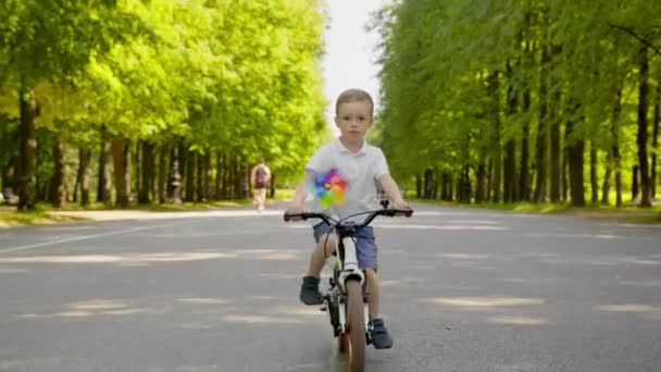 Concentrated Boy Rides Bicycle Road High Green Trees Park Blond — Video Stock