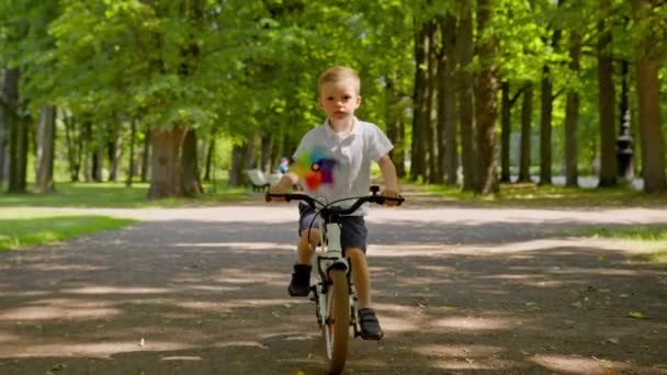 Preschooler Rides White Bicycle Road Park High Trees Junior Rider — Stockvideo