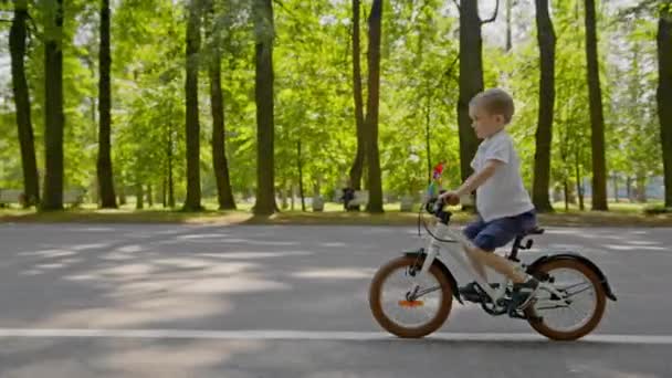 Focused Child Boy Riding Bike Colourful Pinwheel City Park Trees — Stockvideo