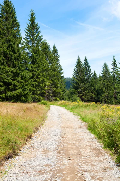 Walking trail — Stock Photo, Image