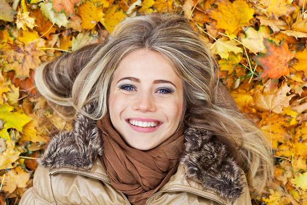 Beauty in autumn leaves — Stock Photo, Image