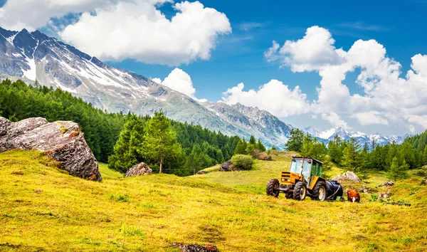 Malerische Landwirtschaft — Stockfoto