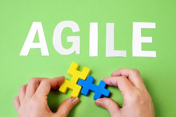 Software Agile Woord Puzzels Agile Software Ontwikkeling Methodologieën Concept Close — Stockfoto