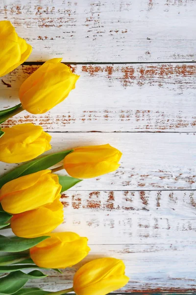 Beyaz ahşap arka planda güzel sarı laleler, yakın plan.