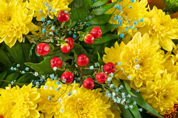 Großer Strauß Mit Schönen Gelben Chrysanthemen Und Hagebuttenhintergrund Nahaufnahme — Stockfoto