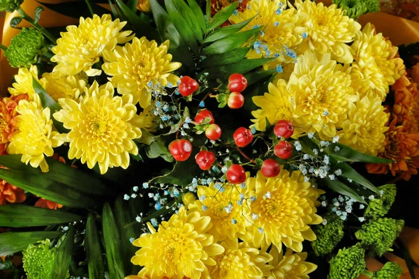 Großer Strauß Mit Schönen Gelben Chrysanthemen Und Hagebuttenhintergrund Nahaufnahme — Stockfoto