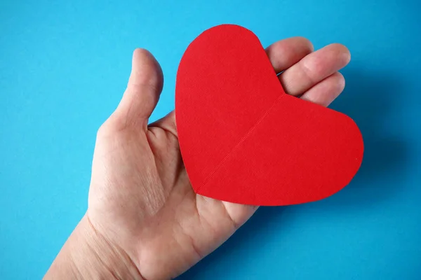 Handen Håller Rött Hjärta Organdonation Familjeförsäkring Världsdagen Världshälsodagen Love Och — Stockfoto