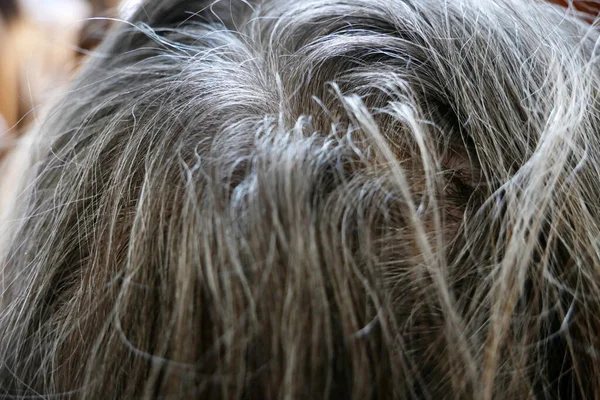 Raízes Cabelo Cinza Regrown Cabeça Coloração Cabelo Mulher Primeira Aparição — Fotografia de Stock